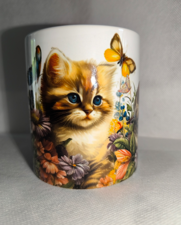 Chats N°29