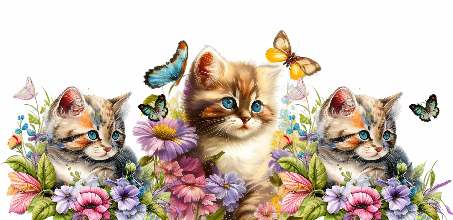 Chats N°29