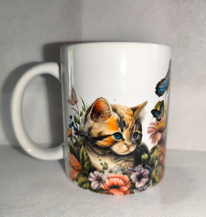 Chats N°29