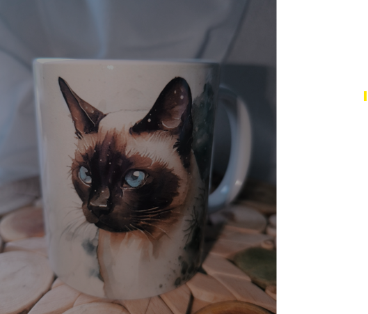 Chat N°20
